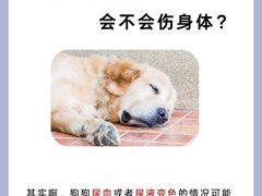 -守诺宠物医院·眼科· 神经外科·爬宠专科(虹口店)