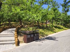 -白水寺森林公园