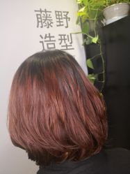 -藤野造型