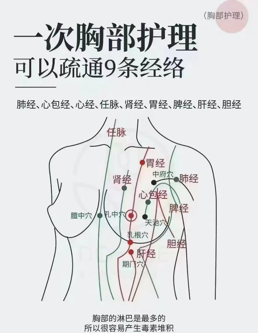 催乳的经络分布图图片