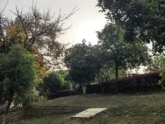 -沙河三洞古桥公园