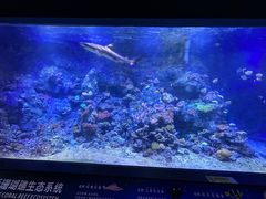 -江和美海洋公园