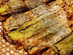 -翠亭酒家(山西南路店)