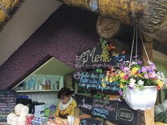 -疯狂屋