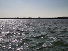 -丁香湖公园
