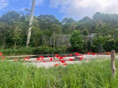 -新加坡飞禽公园