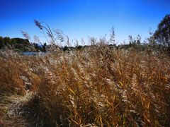 -野鸭湖国家湿地公园