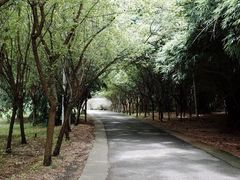 -贵阳市花溪国家城市湿地公园