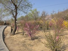 -白水寺森林公园