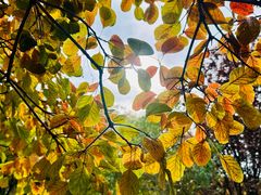 -济南国际园博园