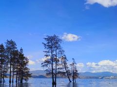 -大理洱海