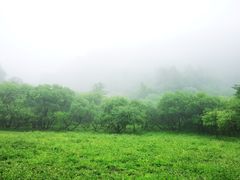 -大水川景区