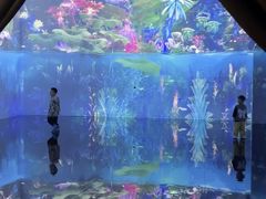 -中国湿地博物馆