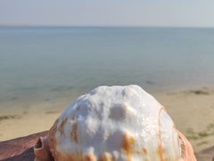 -北海金海湾红树林生态旅游区