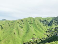 -新疆那拉提国家旅游度假区