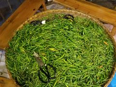 -陈有良尖椒鸡(渝中示范店)