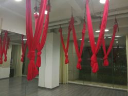 -榕树上·瑜伽普拉提