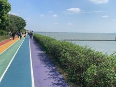 -贡湖湾湿地公园