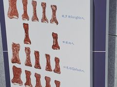 -北京周口店北京人遗址博物馆