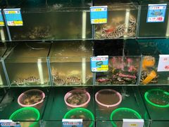 水产区-琼大师东方烤乳猪(亚特兰蒂斯店)