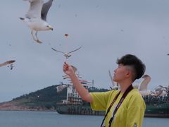 -海驴岛(荣成市)