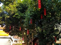-田园山庄农家乐(石岩店)