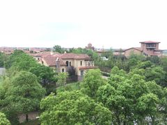 -上海崇明金茂凯悦酒店