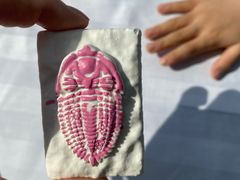 -房山世界地质公园博物馆