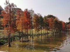 -顺峰山公园