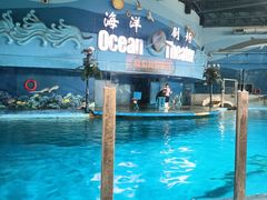 -苏州海洋馆