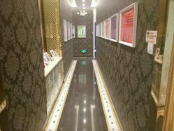 -莎蔓莉莎美容会所