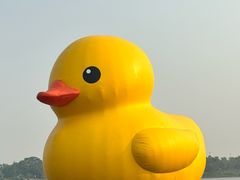-深圳人才公园