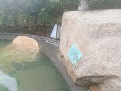 -溧阳天目湖天沐温泉