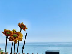 -后海村