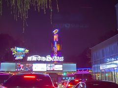 -枫花园汽车电影院(朝阳公园店)