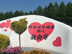 -荷兰花海