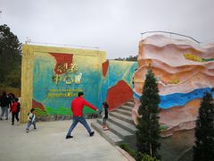 -广东惠东海龟国家级自然保护区