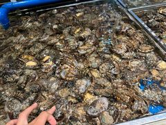 -钱库里海鲜自助(唐山街店)