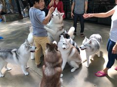 -TrueLove @ Neverland (Husky Cafe)