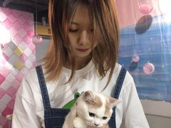 -浣熊柯尔鸭土拨鼠·电玩咖