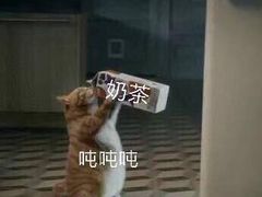 -兰芳园丝袜奶茶