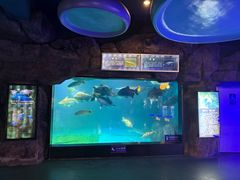 -烟台海昌鲸鲨海洋公园