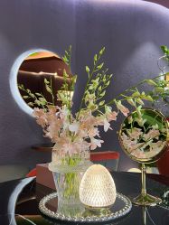 -花隐·美芙炫海菲秀皮肤管理中心