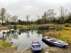 -眉山湿地公园(东坡区)