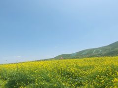 -扁都口生态休闲旅游区