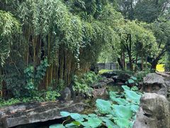 -扬州瘦西湖温泉
