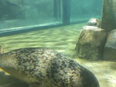 -临沂极地海洋王国