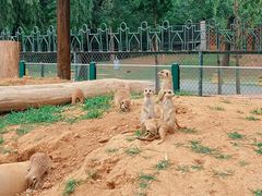 -秦皇岛野生动物园