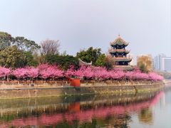 -望江楼公园
