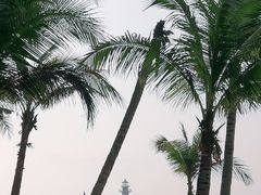 -清水湾旅游度假区